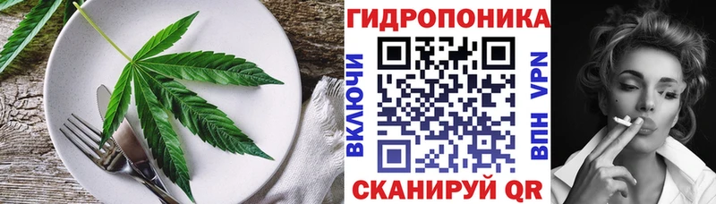 Cannafood конопля  Старая Купавна 