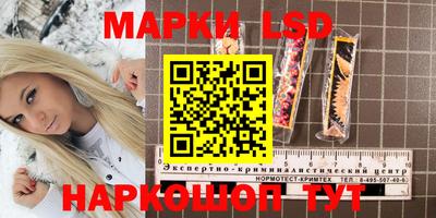 ПСИЛОЦИБИНОВЫЕ ГРИБЫ Обнинск