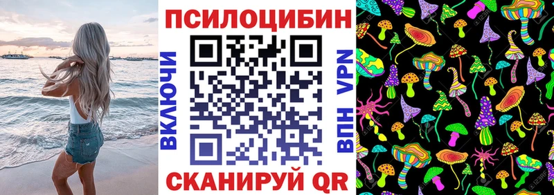 дарк нет наркотические препараты  Старая Купавна  Псилоцибиновые грибы Psilocybe 