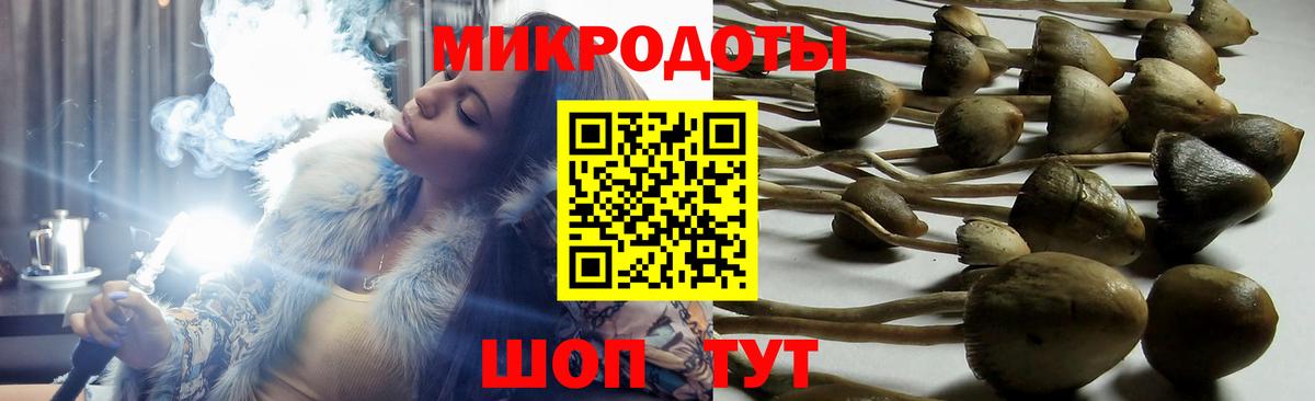 Галлюциногенные грибы мицелий Старая Купавна